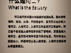 -上海长江河口科技馆