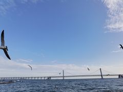 -星海广场