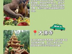 -西双版纳傣族园