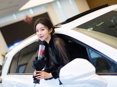 -河南威佳金凯汽车销售服务有限公司