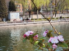 -万柳阁小馆·花园餐厅(龙潭湖店)