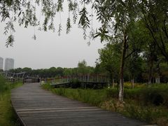 -尚贤河湿地