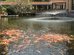 -番禺宾馆丽苑厅