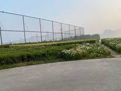 -苏州湾体育公园