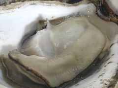 -蠔门宴海鲜城·阳江特色菜