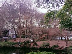 -秋霞圃