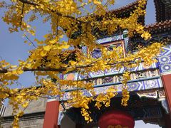 -迎泽公园