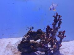 -常州海昌海洋探索馆