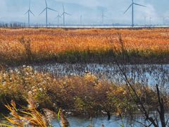 -野鸭湖国家湿地公园