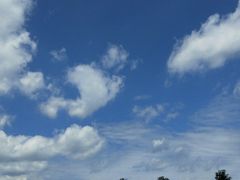 -帕帕拉兹宠物(亚洲旗舰店)