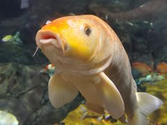 -上海海洋水族馆