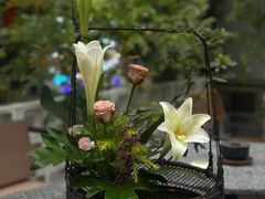 -扫雪煮茶(西村店)