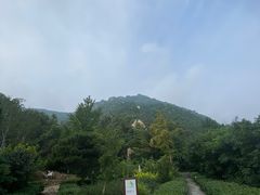 -北京鹫峰国家森林公园