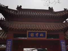 -桃花堤公园