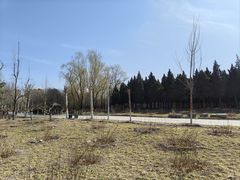 -东升八家郊野公园