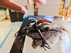 -燕莎友谊商城(亮马桥店)