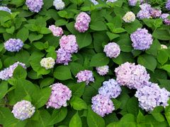 -新天地活力PARK