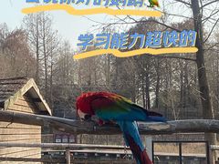 -宁波杭州湾国家湿地公园
