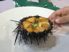 -日月昇渔家菜·海肠捞饭·大连海鲜(星海公园店)