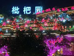 -枇杷园食为鲜火锅(南山店)