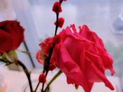 -桃花江餐厅·江景-约会·聚会