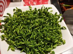 豆苗-海底捞火锅鲜切牛肉主题店(长寿路店)