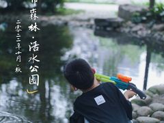 -成都市活水公园