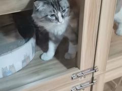 -白兔子密室(长寿路店)