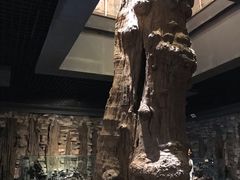 -乐山乌木文化博览苑