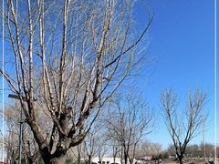 -马家湾湿地公园