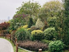 -顺峰山公园