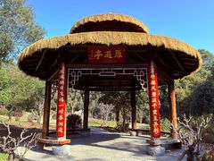 -东湖落雁景区