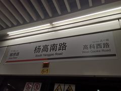-杨高南路(地铁站)
