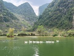 -靖西鹅泉风景区