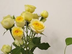 -永太盲人按摩(福田店)