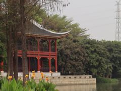 -顺峰山公园
