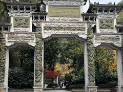 -云碧峰国家森林公园