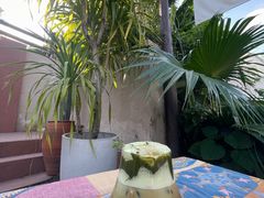 -三圣花乡旅游区