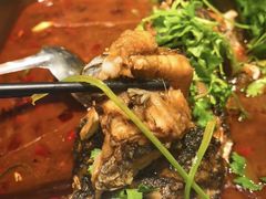 -新珠城鱼坊(龙湖店)