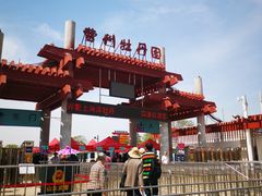 -曹州牡丹园