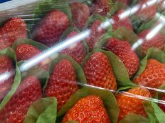 -三真丸子美食坊(故宫路店)