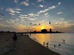 -宾朋海鲜饭庄(兴海路店)