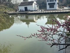 -红梅公园