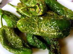 -Tapa Tapa