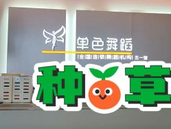 -单色舞蹈