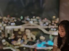 -WFC会仙楼观景台