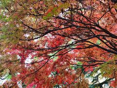 -西安市纺织公园