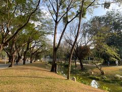 -人民公园(罗湖区)