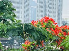 -荔湾博物馆