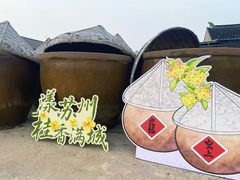 -苏州市吴中区光福窑上花果蜜饯厂